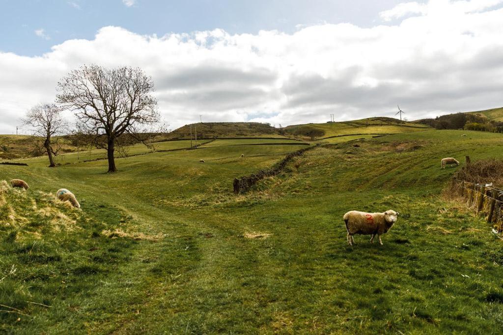 Gable - One Bed Close To Holmfirth And The Peak District Hepworth (West Yorkshire)